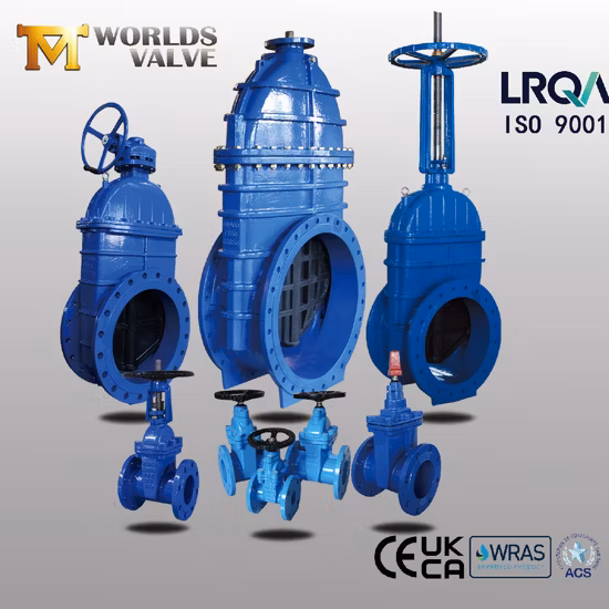 Ductile Cast Iron Di Ci Stainless Steel Barss EPDM Seat Water Resilient Wafer Lug Lugged Type Double Flange Industrial Butterfly Valve Gate Swing Check Valves